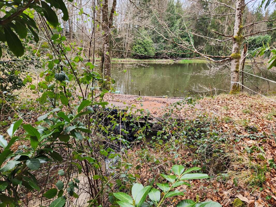 Terrain à BUSSIERE-GALANT