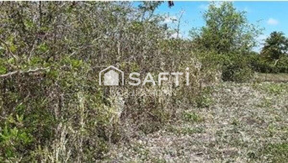 Photo 4 - Terrain à LE MOULE