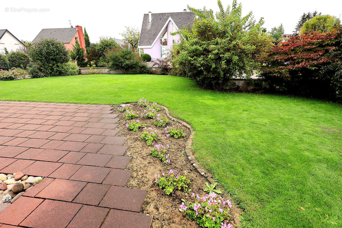 Maison à VILLAGE-NEUF