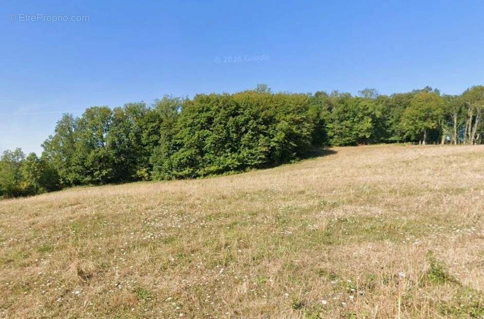 Terrain à MONTIGNAC