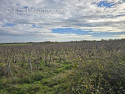 Terrain à CHATEAUMEILLANT