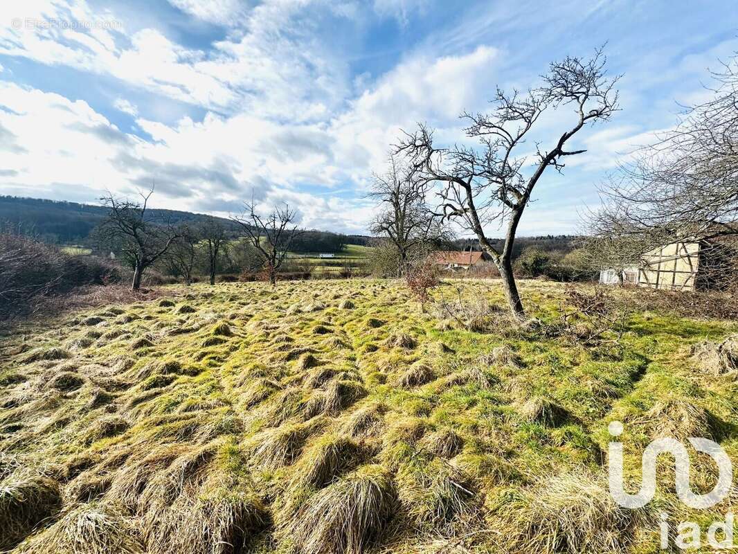 Photo 6 - Terrain à RECHESY