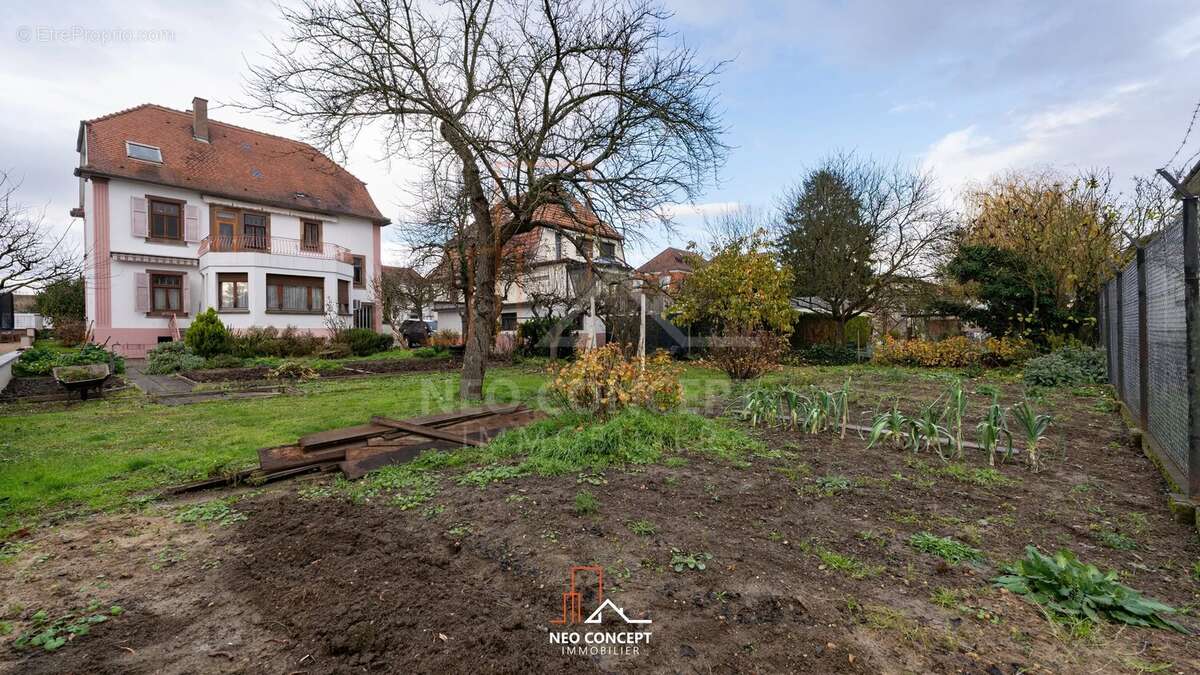 Maison à LINGOLSHEIM