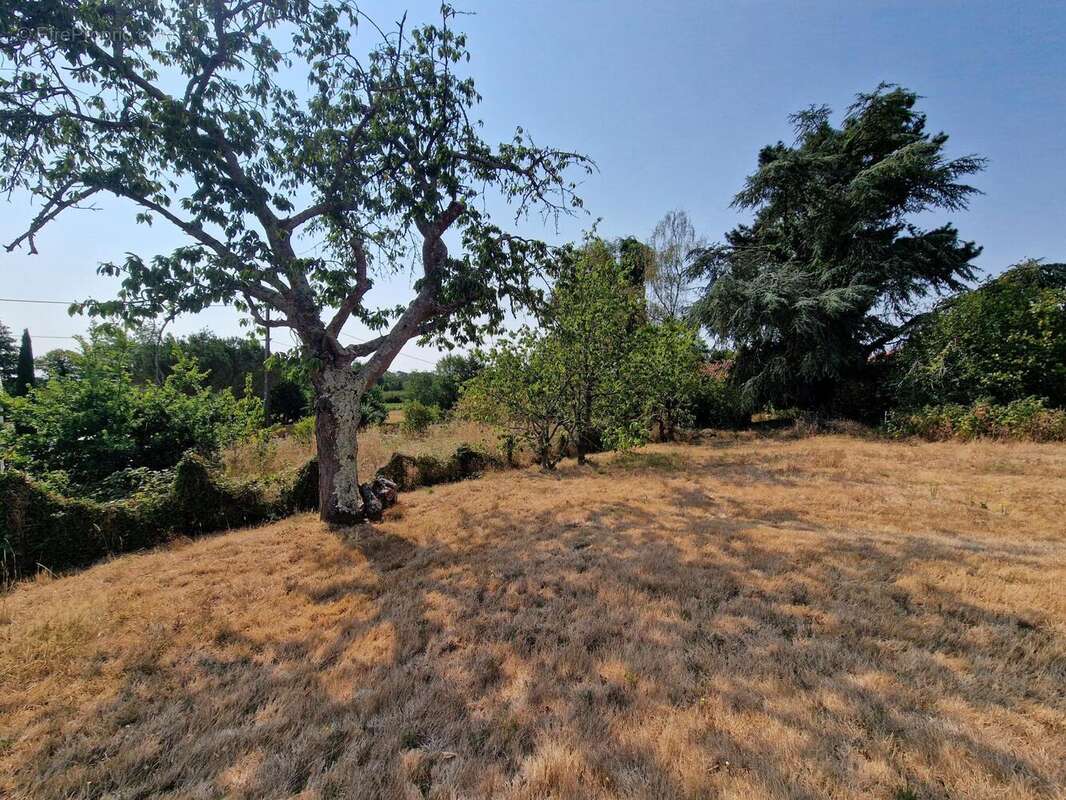 Terrain 316 m² à Saint-Fiacre-Sur-Maine  - photo 3