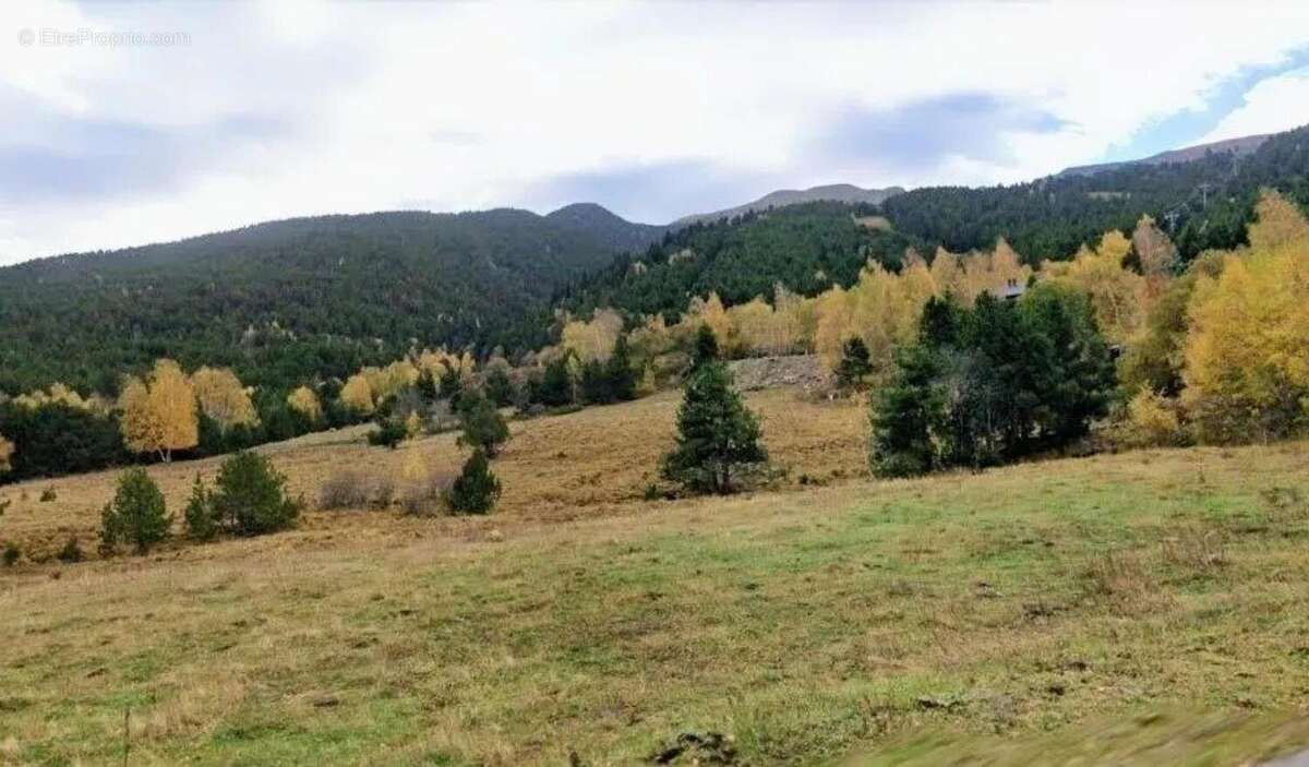 Photo 4 - Terrain à SAINT-PIERRE-DELS-FORCATS