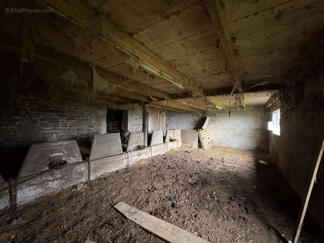 Maison à SAINTE-FEREOLE