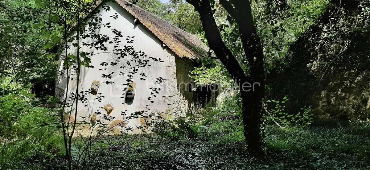 Moulin A Réhabiliter - photo 7