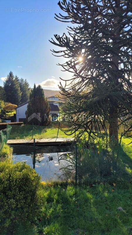 Maison à LAROQUEBROU