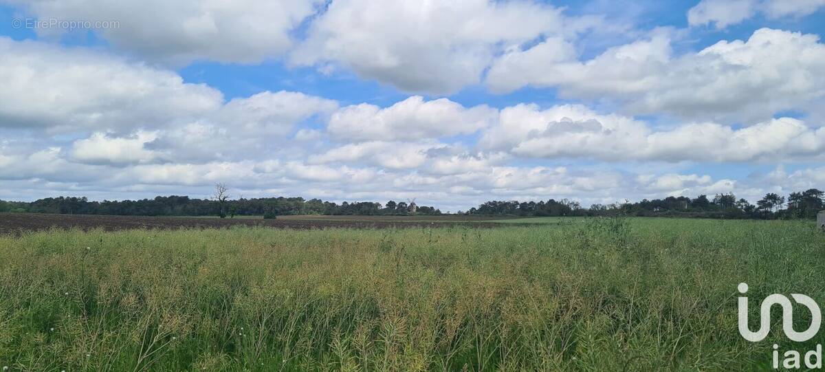 Photo 1 - Terrain à SAINT-JACUT-LES-PINS