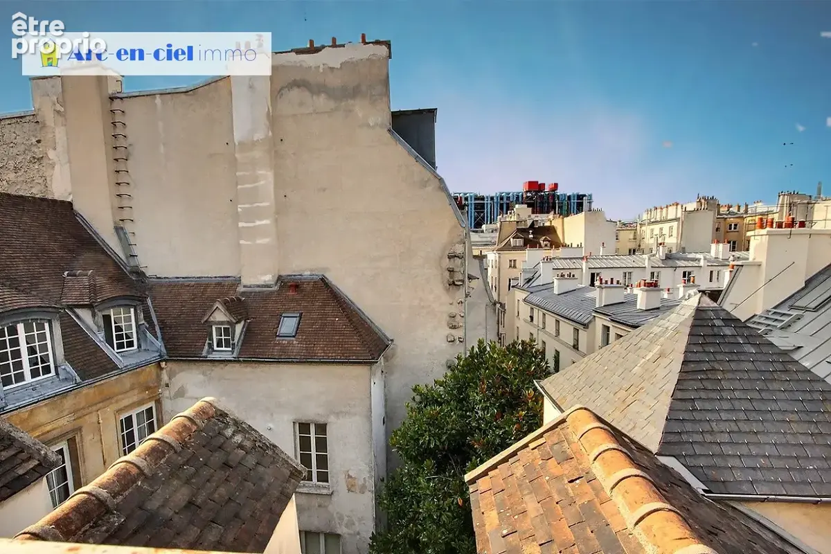 Coeur du Marais Paris 4 dans Hotels Particuliers avec TERRASSE - photo 4