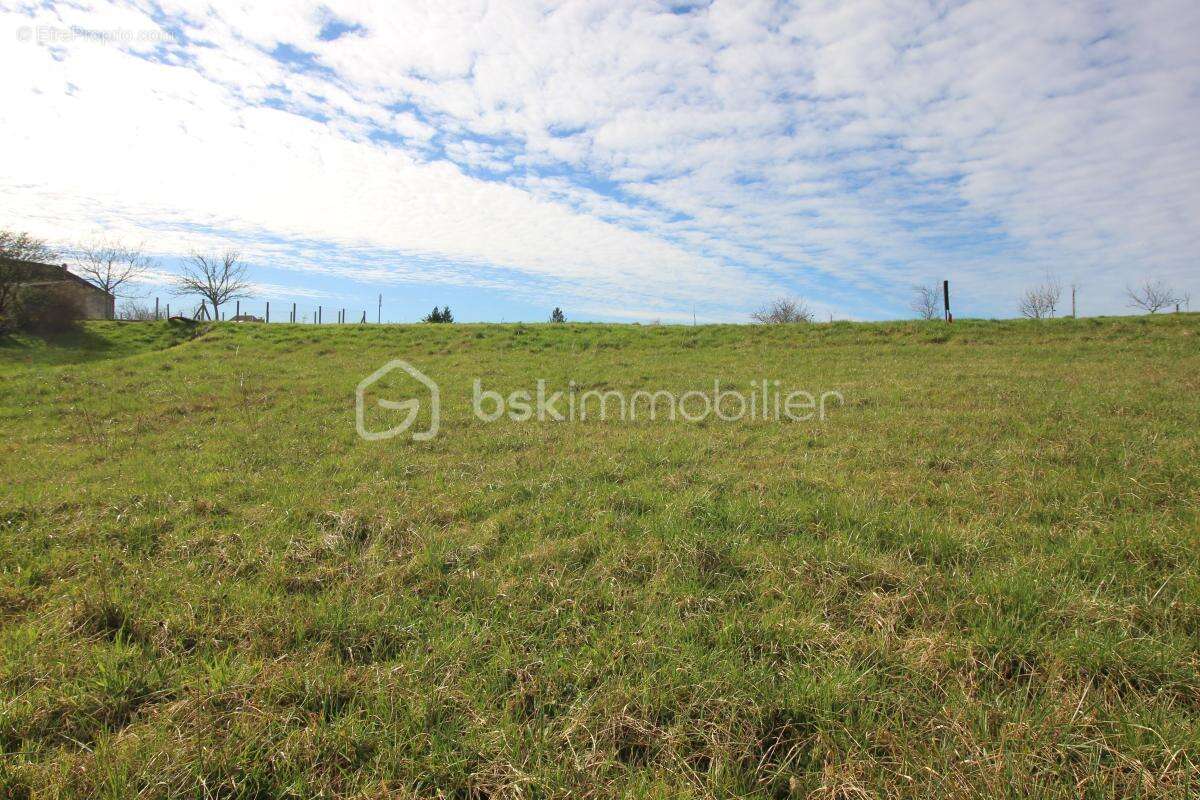 Terrain 1 ha dont étang et 4500 de constructible - photo 5