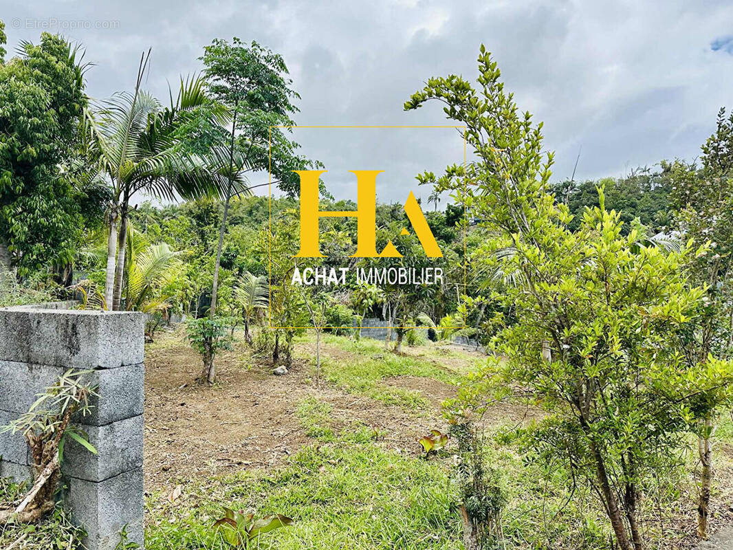 Terrain à SAINT-BENOIT