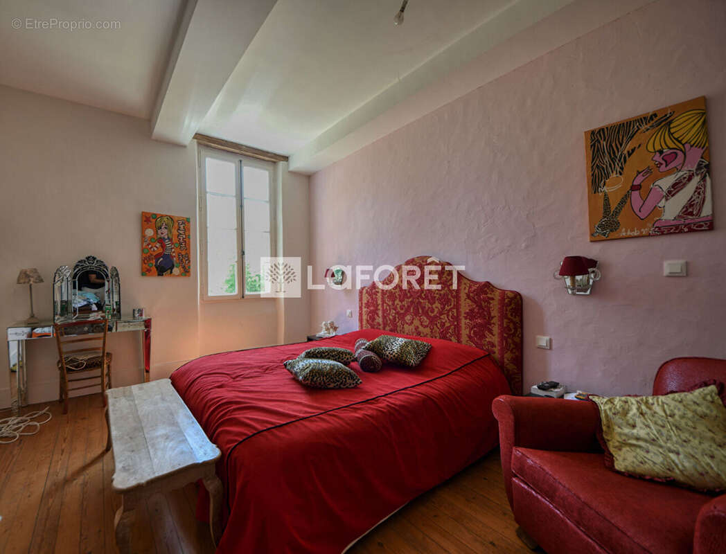 Maison de maitre avec gîte et dependances a vendre a lisle-sur-tarn - photo 11