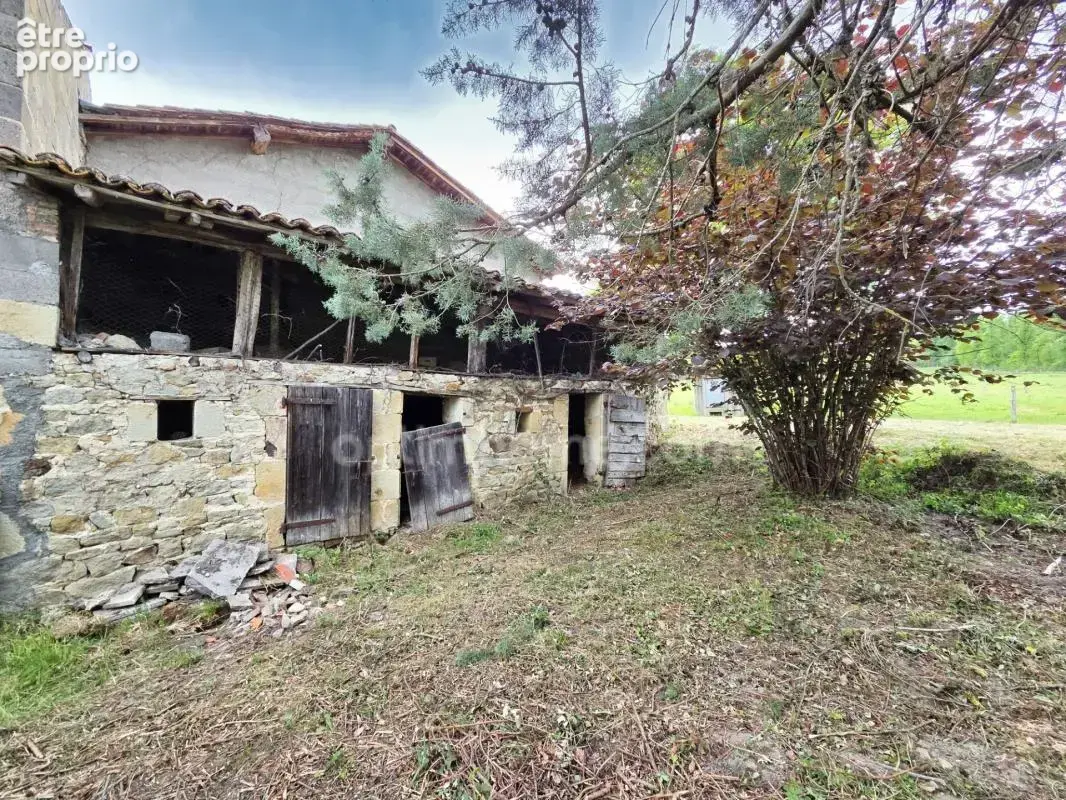 *** exclusivite *** propriete rare : maison dependances et terrain *** saint-jean-d'heurs 63190 *** - photo 12