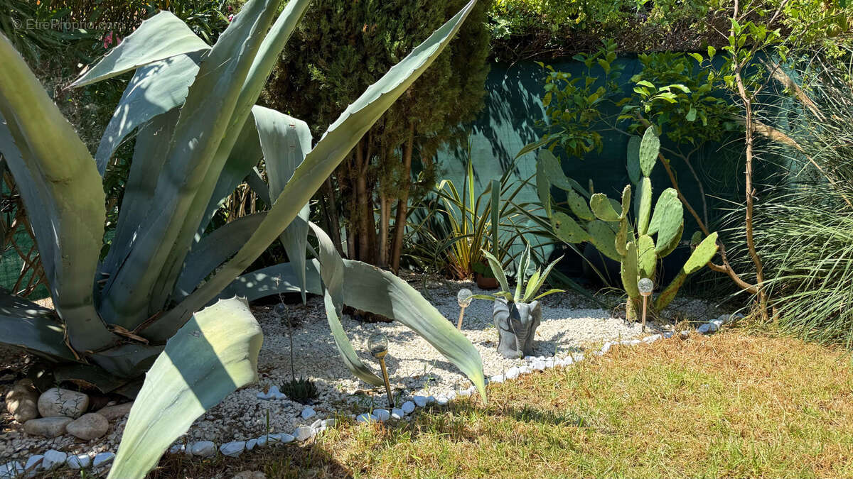 Appartement à SANARY-SUR-MER