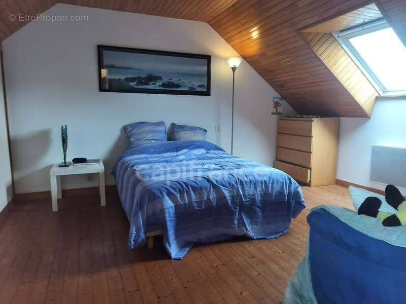 Maison entièrement rénovée  + de 3 hectares  4 dépendances  Au cœur des Monts d'Arrée - photo 11