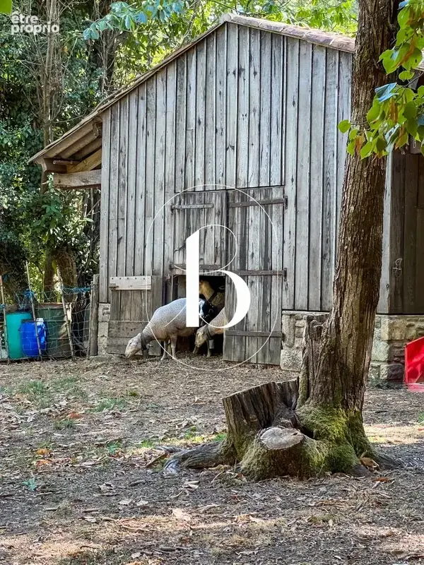 Un mas au cur de 5 hectares, entre histoire et nature en basse Cévennes - photo 33