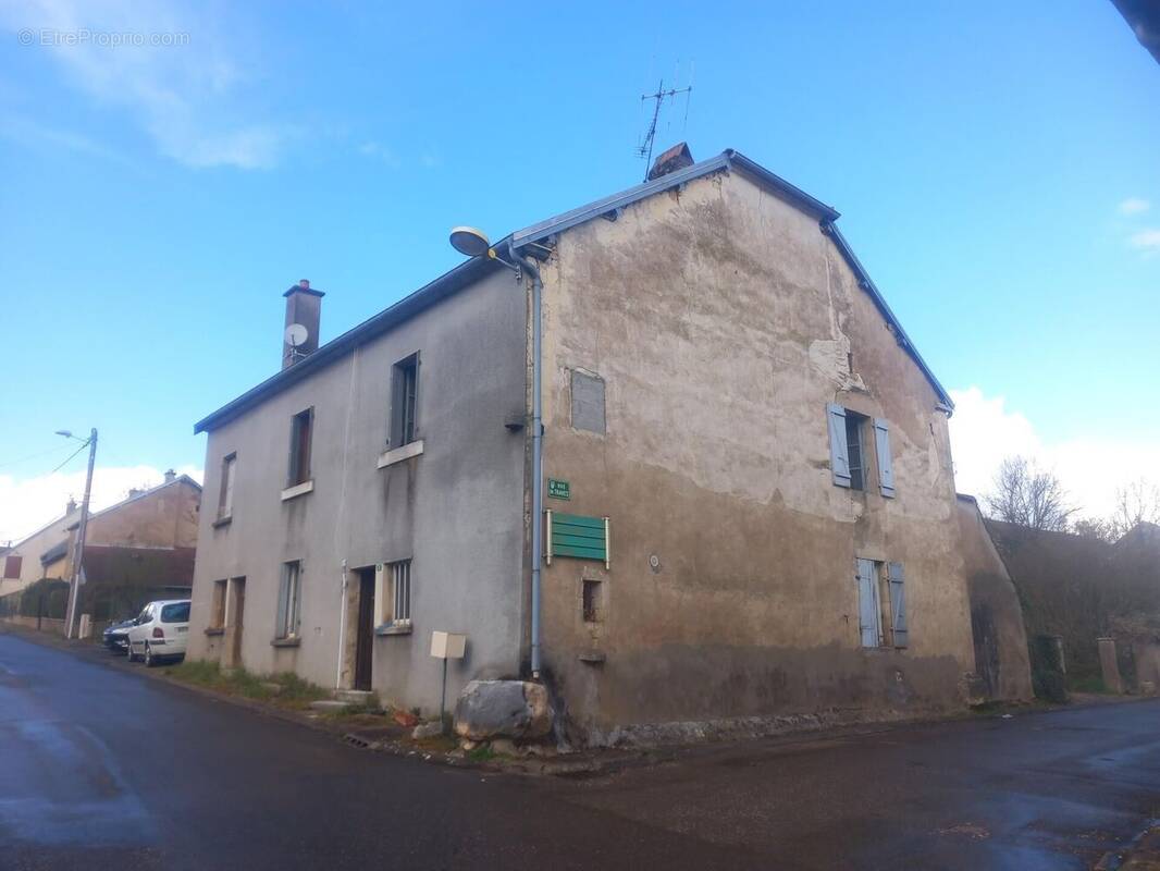 Photo 1 - Maison à NOIDANS-LE-FERROUX