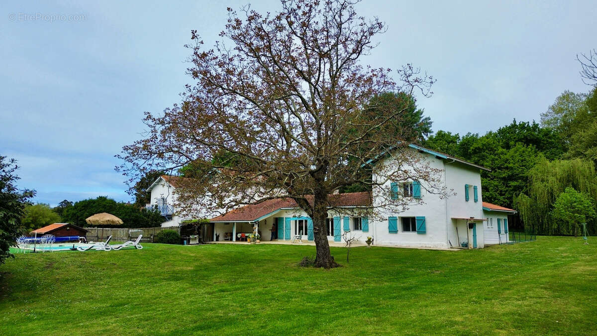 Maison à BENESSE-MAREMNE