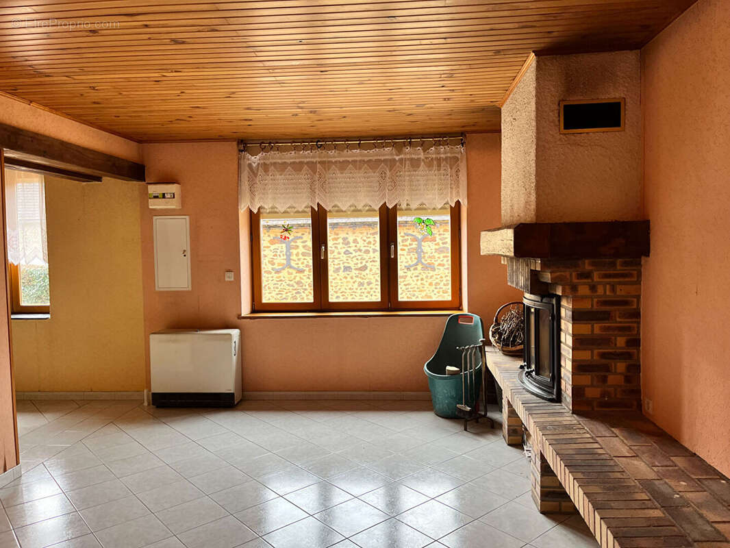 Maison à SAINT-SAUVEUR-EN-PUISAYE