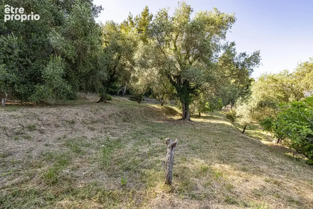 Nice - Vinaigrier -  Maison et dépendance à rénover sur terrain plat de 4.800 m² avec vue mer - photo 16