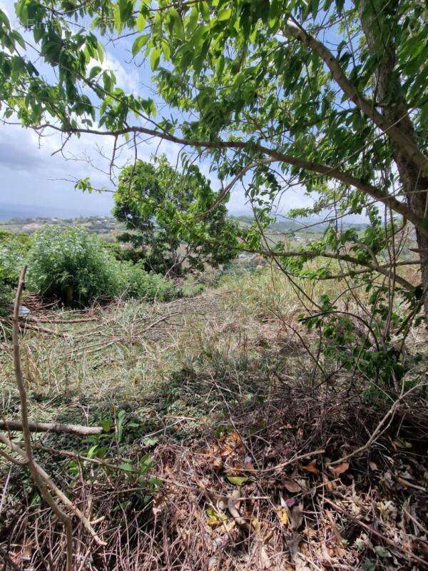 Terrain constructible - photo 5