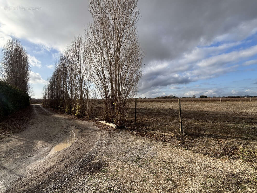 Maison à LANSARGUES