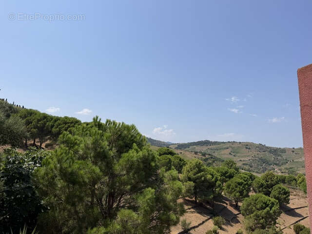 Port-Vendres : villa avec terrasse 3 pièces à acheter - photo 24