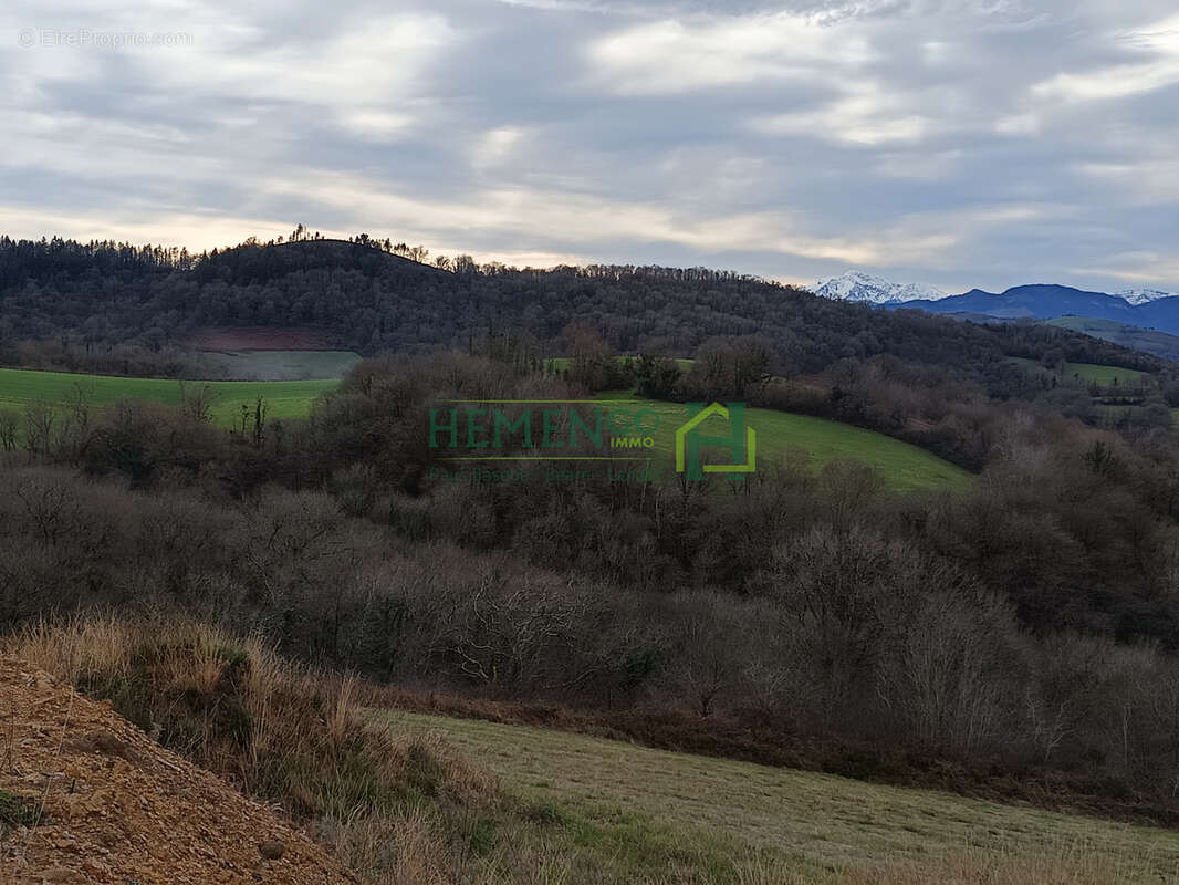 Terrain à MONCAYOLLE-LARRORY-MENDIBIEU