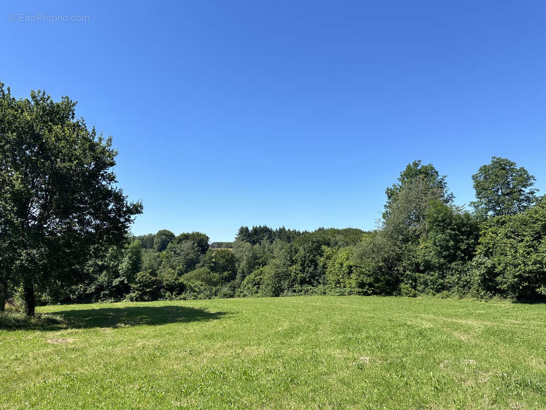 Terrain constructible de 6363 m2 sur la commune d'Uriménil - photo 8