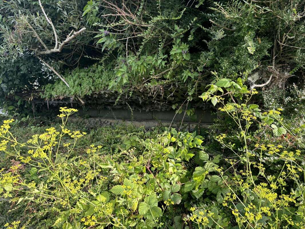 Terrain à CONDE-FOLIE