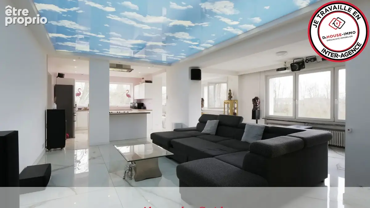 Maison 8 pièces 273 m² à vendre à Sarralbe (57430) - photo 13