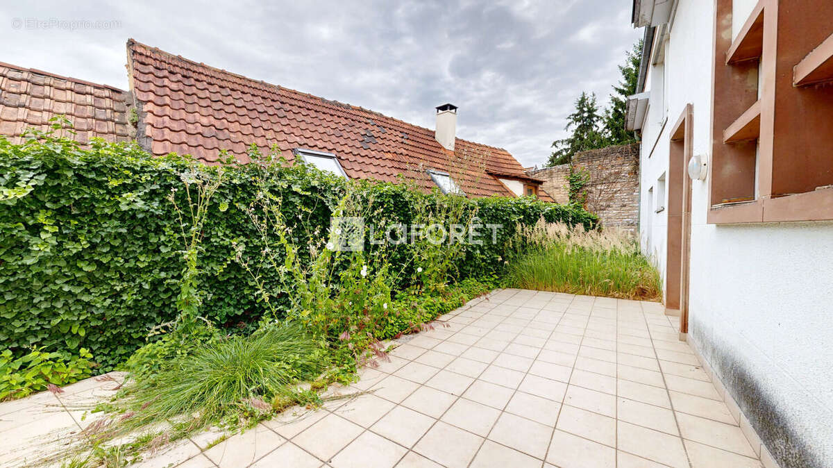 Appartement à SCHILTIGHEIM