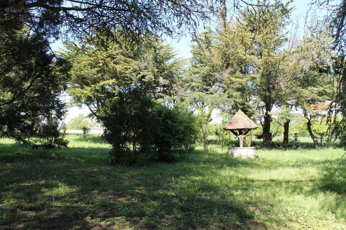 Maison à NEONS-SUR-CREUSE