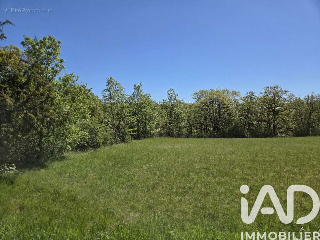 Photo 3 - Terrain à BETAILLE