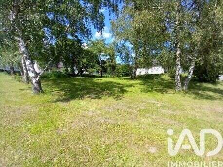 Photo 3 - Terrain à FORBACH