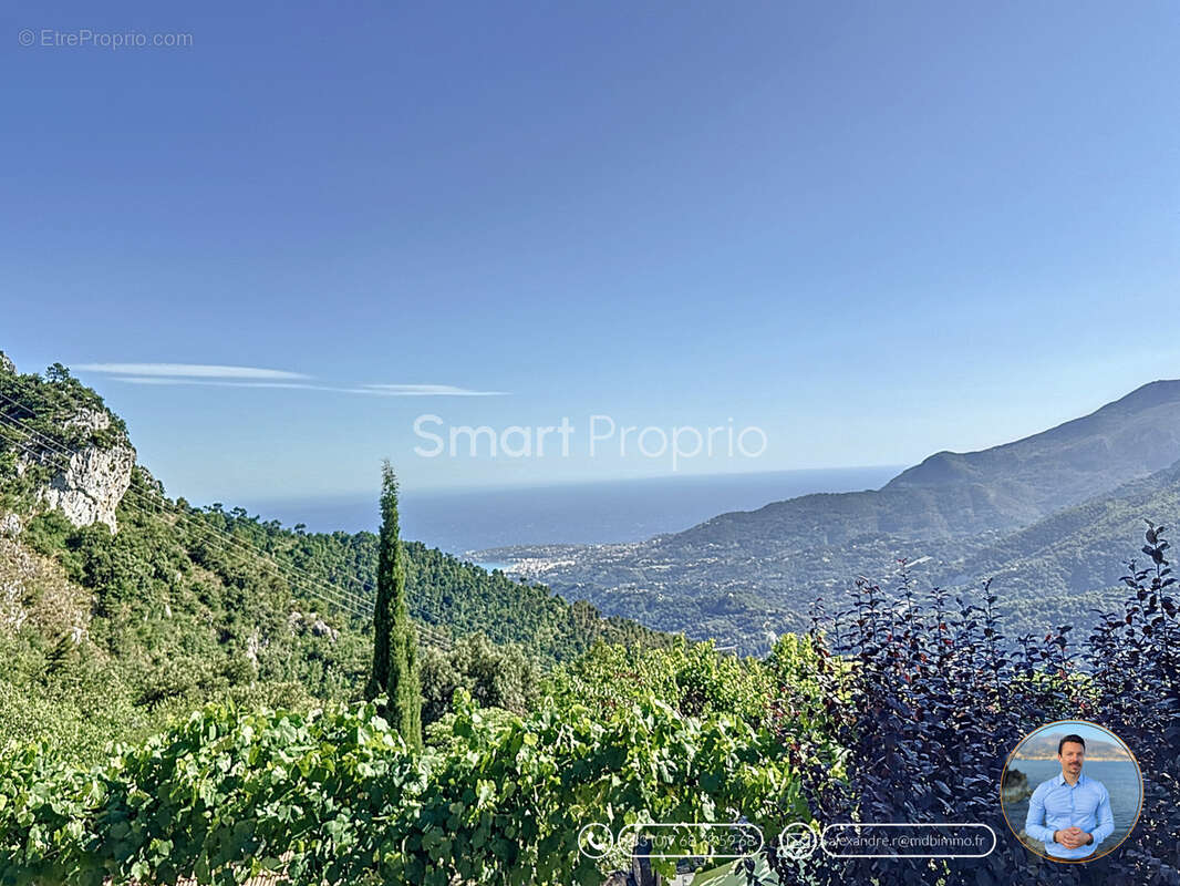 Domaine paradisiaque unique 5 hectars  au calme exceptionnel  - maison autonome 4p - vue dégagée mer - photo 35