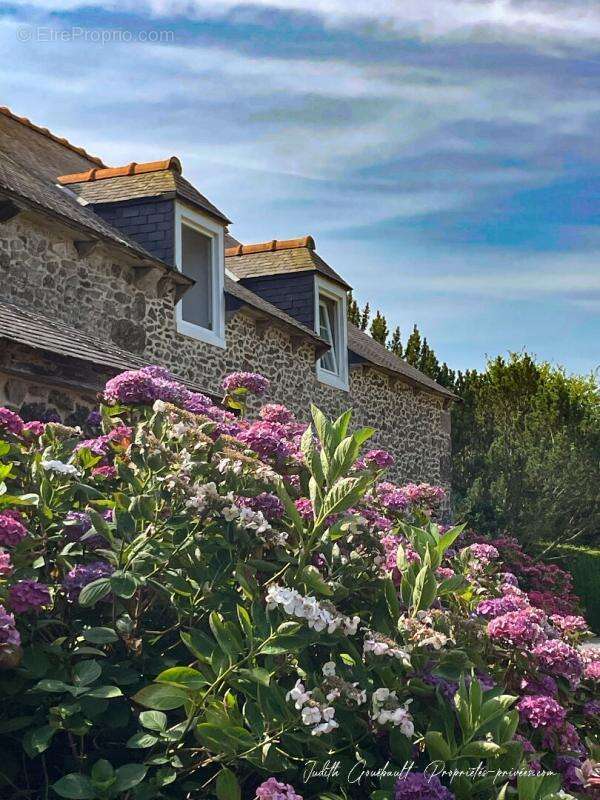 Maison de maître  290m2 sur 7200 m2 de terrain avec tennis - photo 5