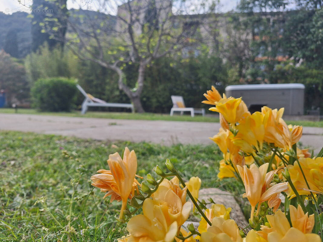 Maison à AMELIE-LES-BAINS-PALALDA