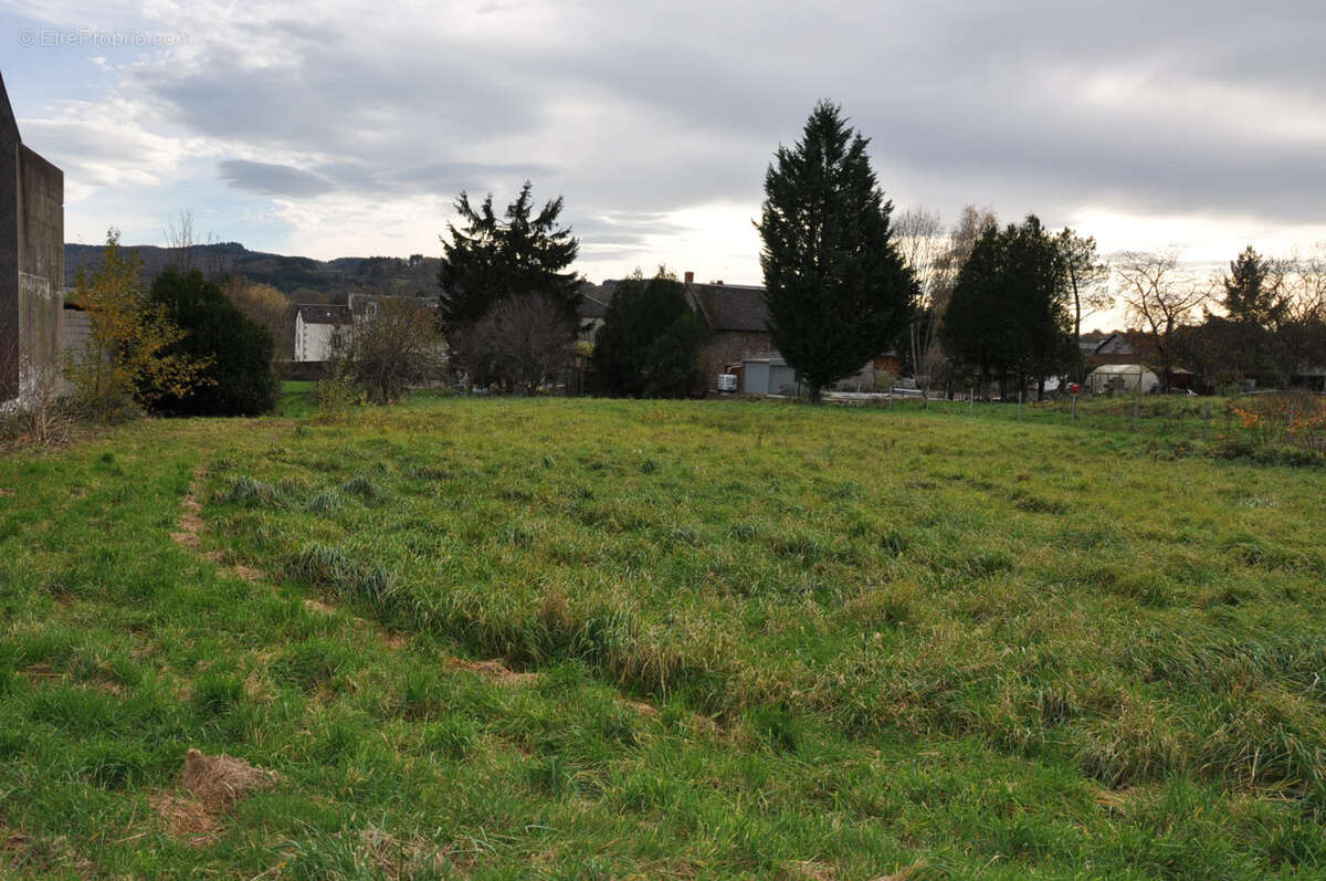 Terrain à LE MAYET-DE-MONTAGNE