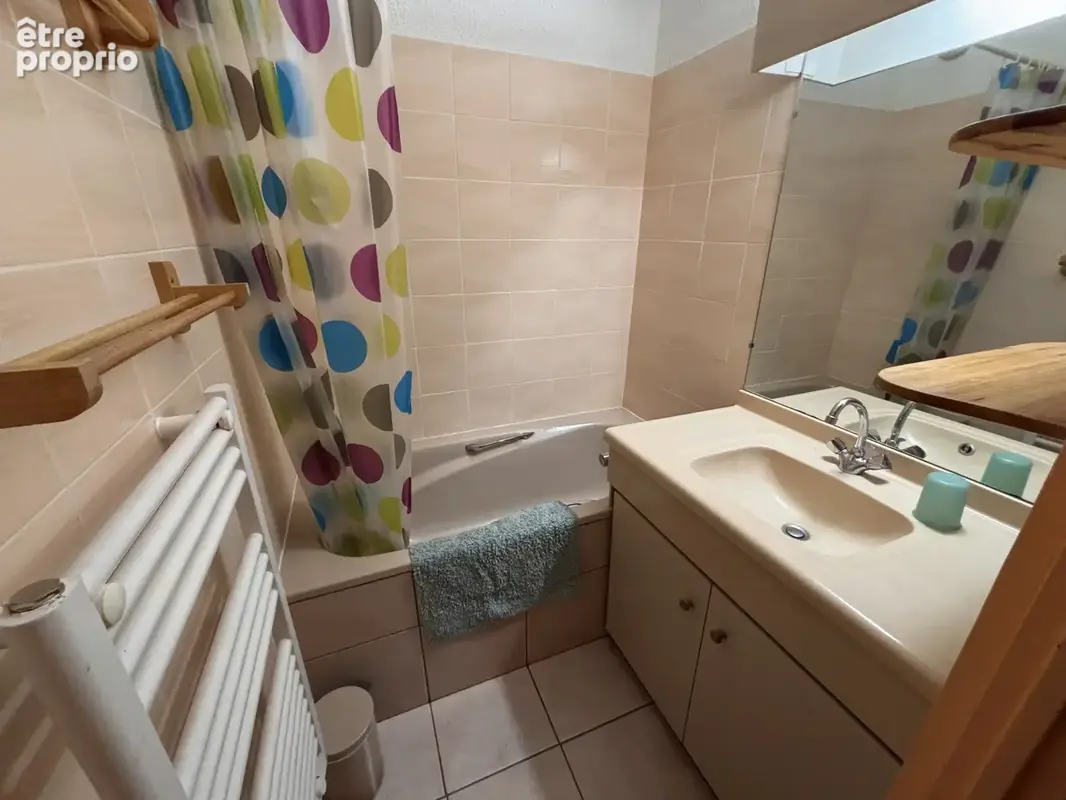 Plan mollaret,  appartement plen sud avec une chambre - photo 6