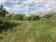 Terrain à PUGET-VILLE