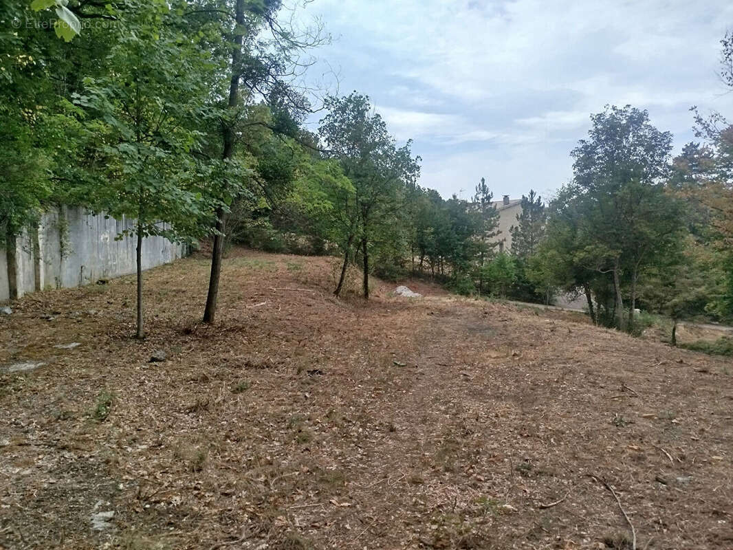 Terrain Digne Les Bains 1133 m2 - photo 3
