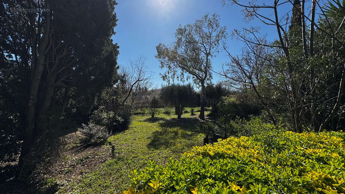 Maison à POLLESTRES