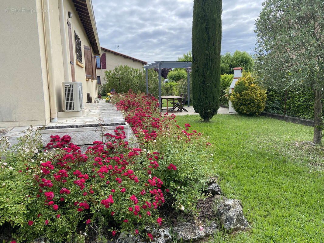 Maison à CAUSSADE