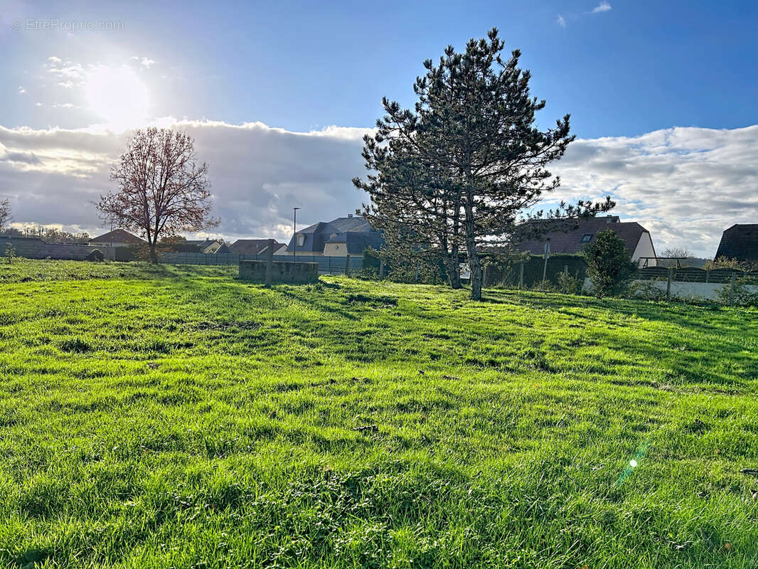 Terrain à SAINT-PANTALEON-DE-LARCHE