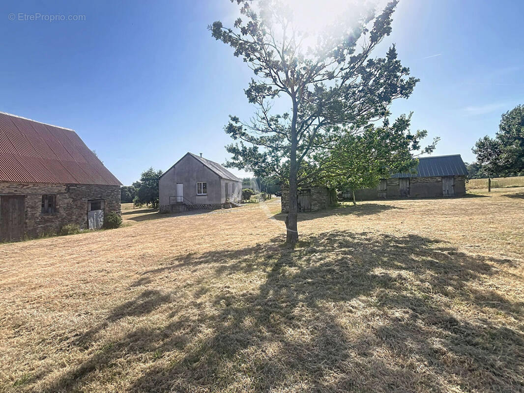 Maison à POUANCE