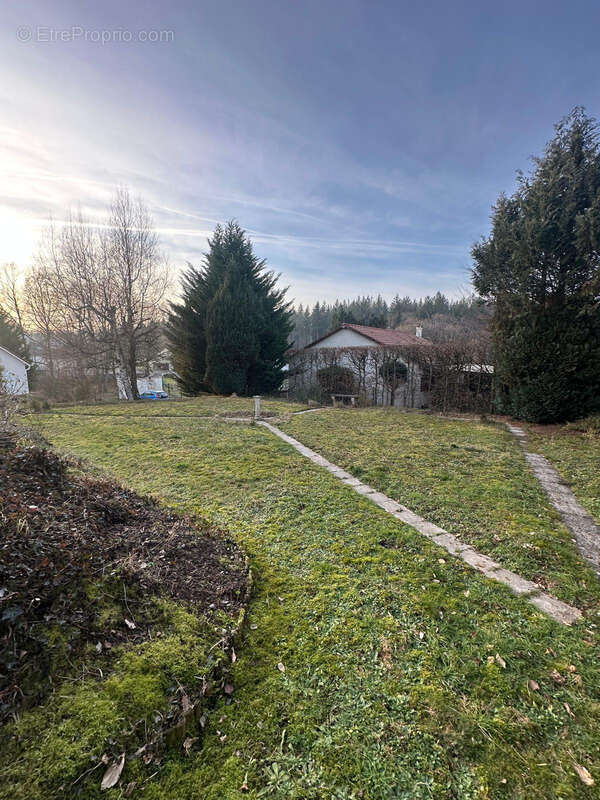 Terrain à SCHOENECK