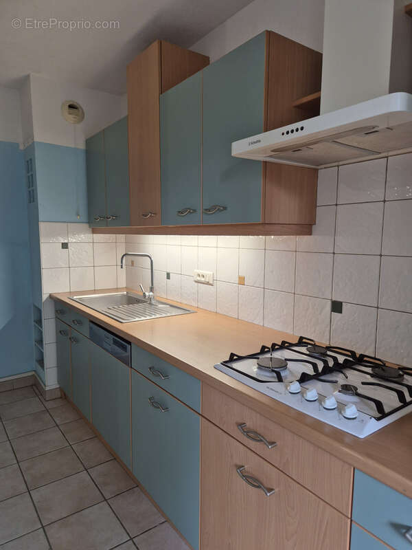Appartement T3 avec jardin et garage - photo 2