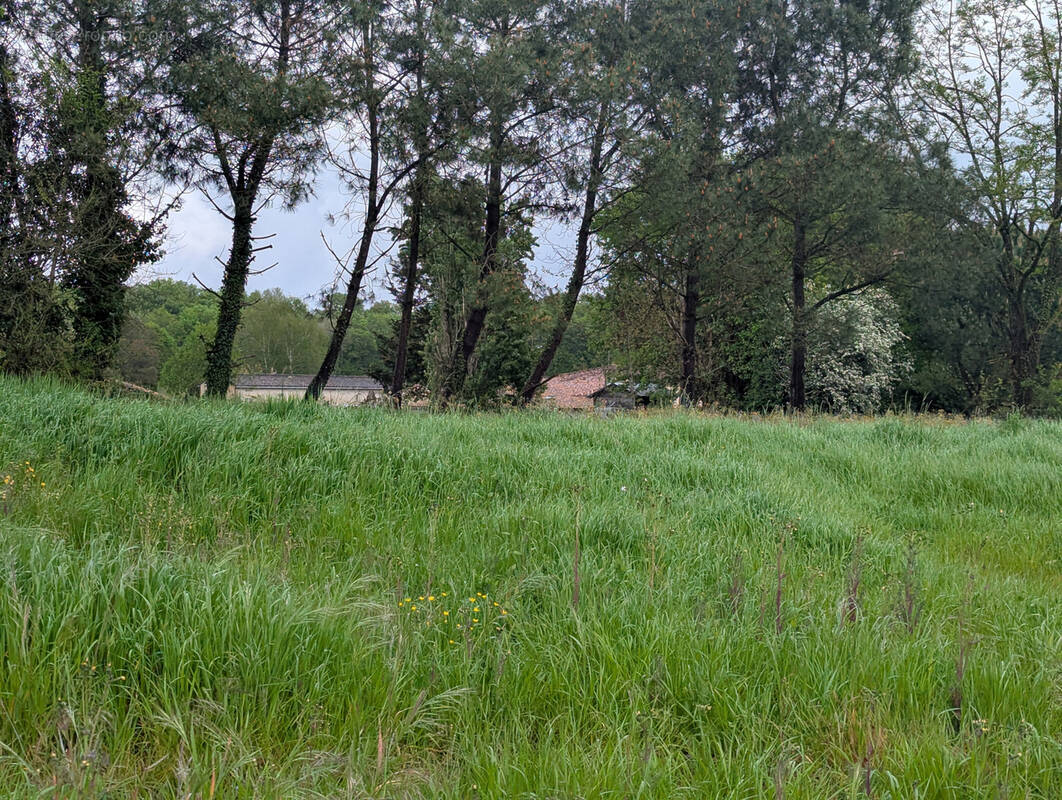 Terrain à SAINT-SIMON-DE-BORDES